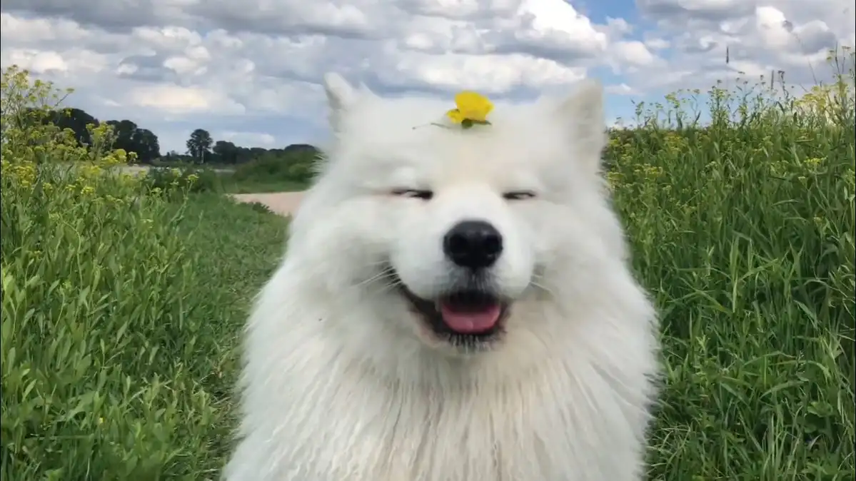 Modern Minds Are Engineered To Be Unstable