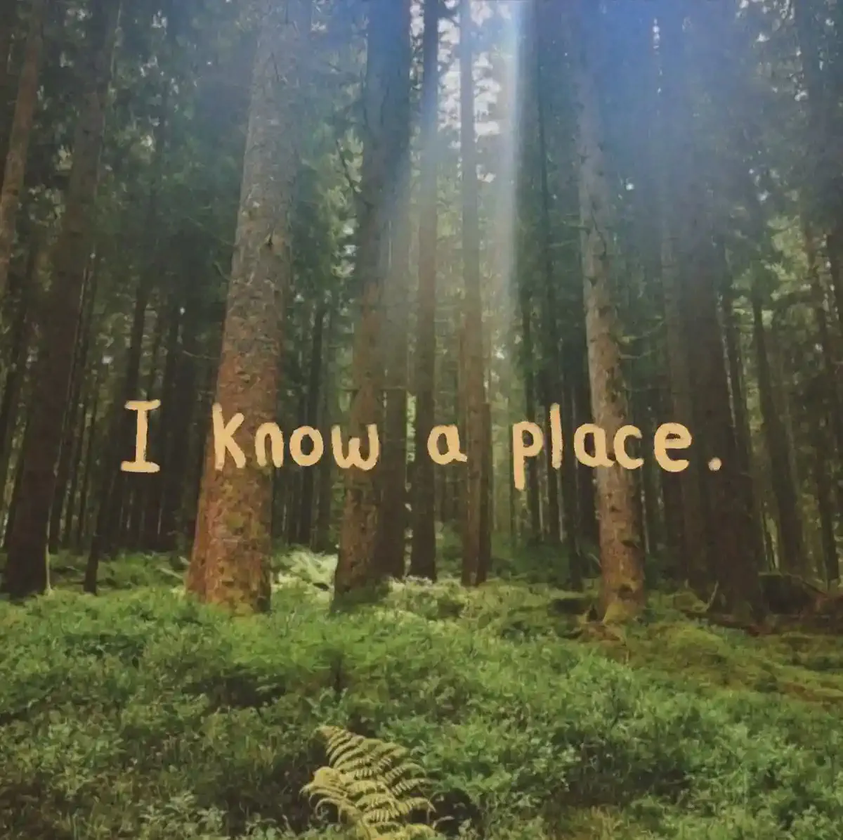 Live For The Right Things