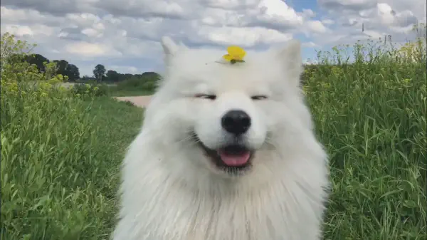 Modern Minds Are Engineered To Be Unstable