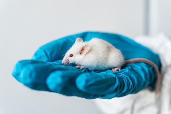 How Social Media Is Taking Us To A Dark Path