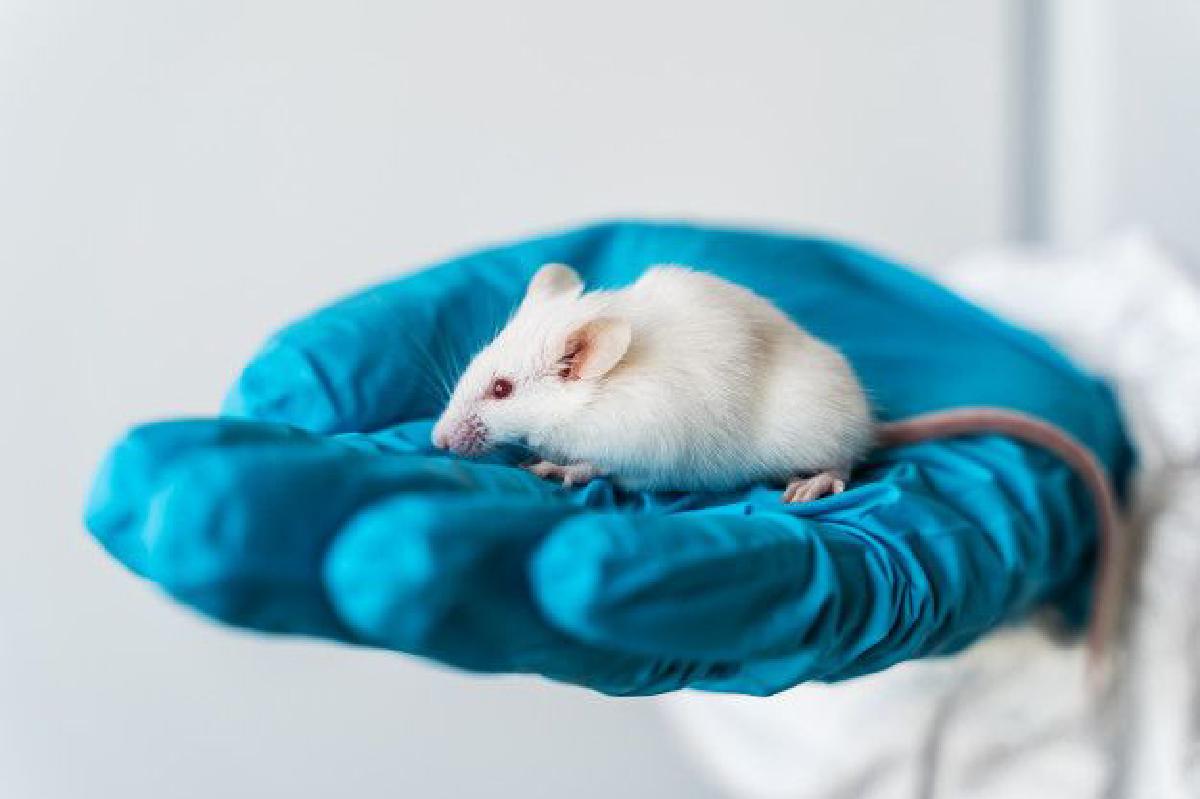 How Social Media Is Taking Us To A Dark Path